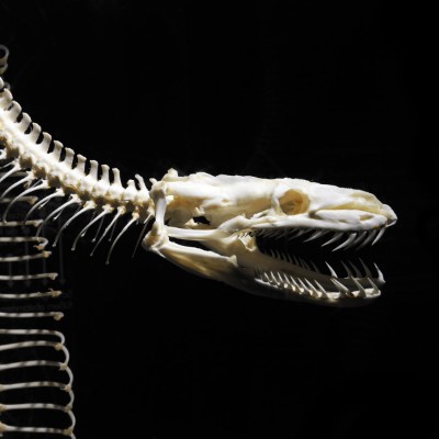 1920 x 1080 HD Wallpapers 1046